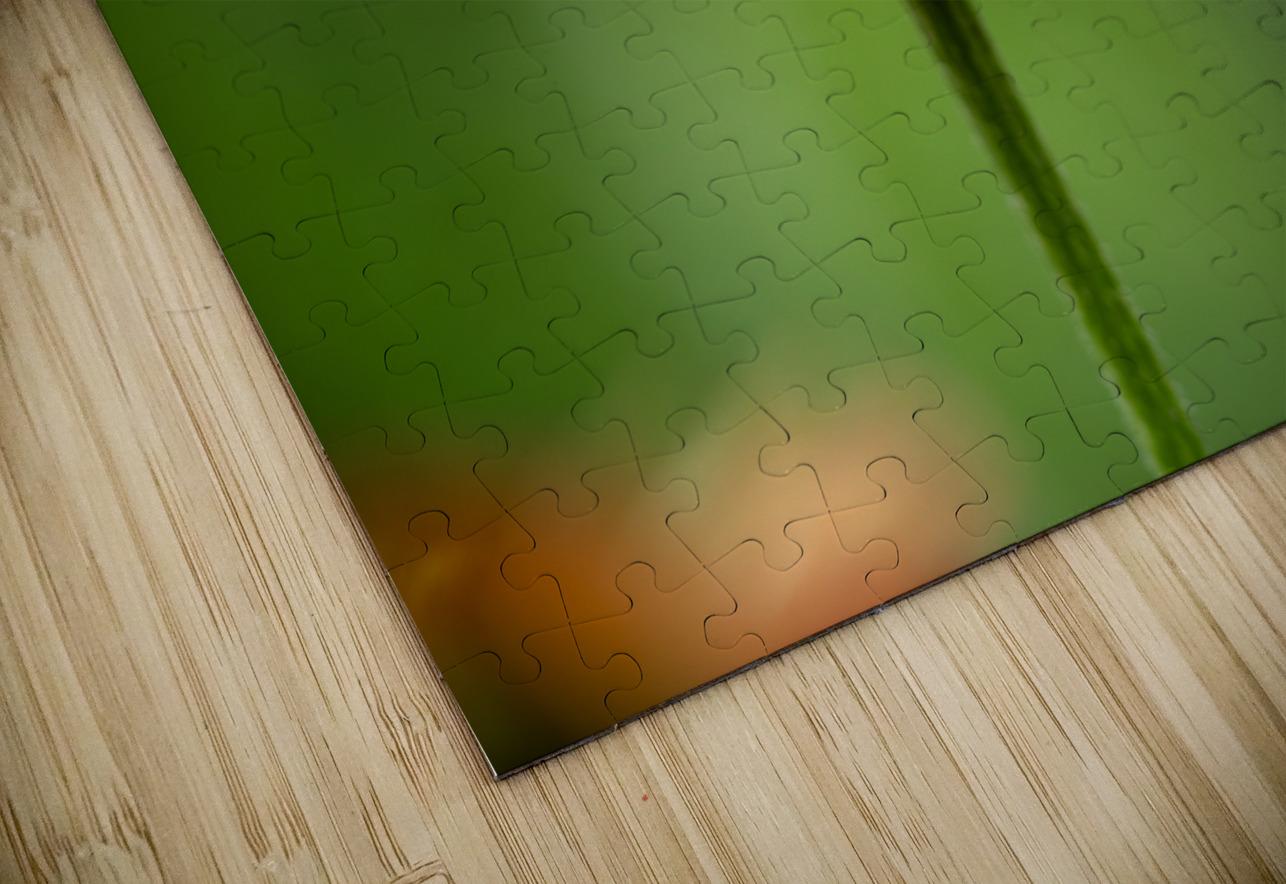 Orange You Awesome Suzanne Bonin Puzzle