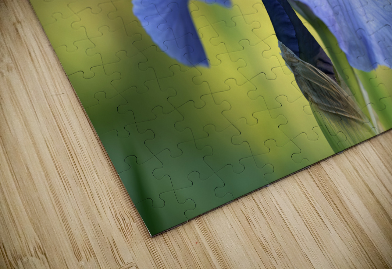 Lucky Devil Suzanne Bonin Puzzle