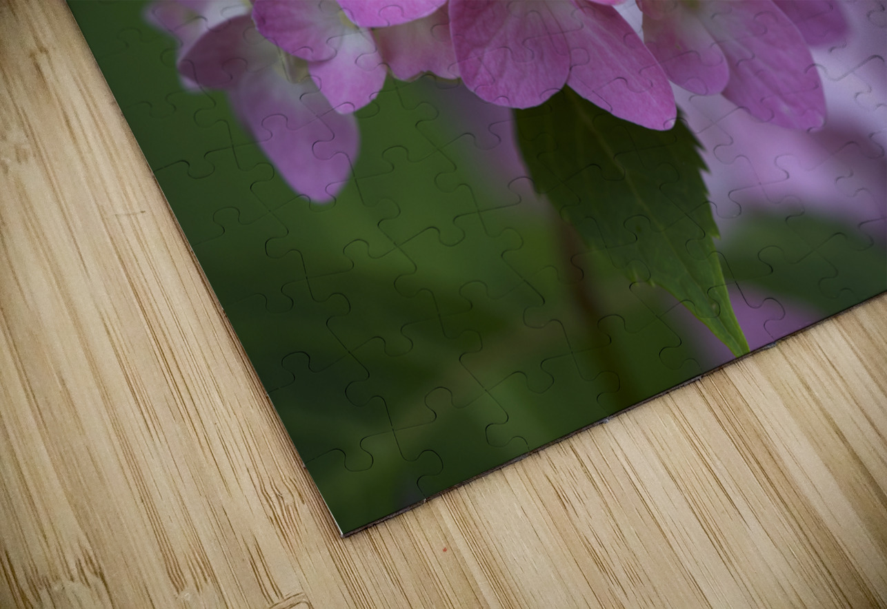 Tea of Heaven Suzanne Bonin Puzzle