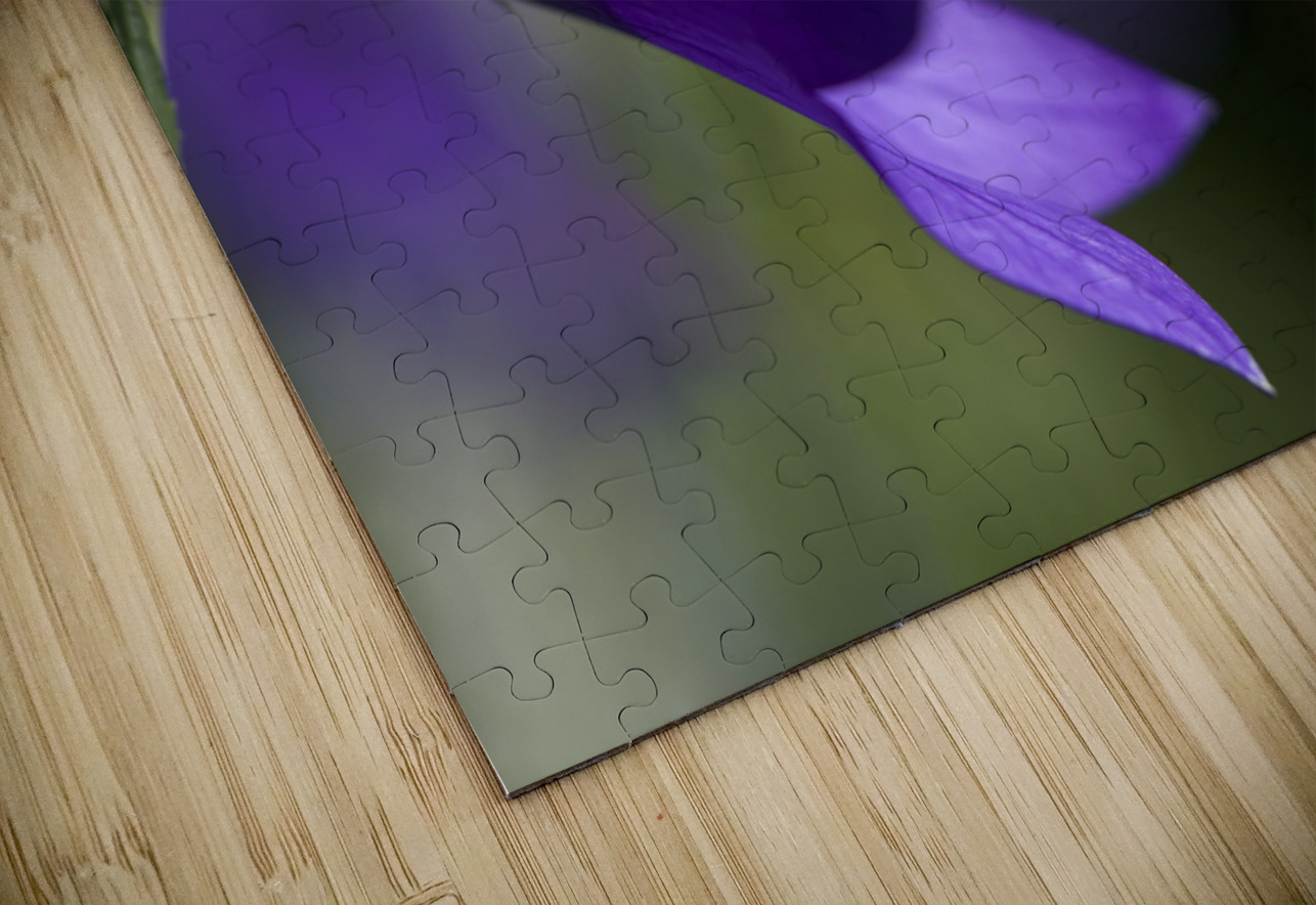 Water Drop Refraction Suzanne Bonin Puzzle