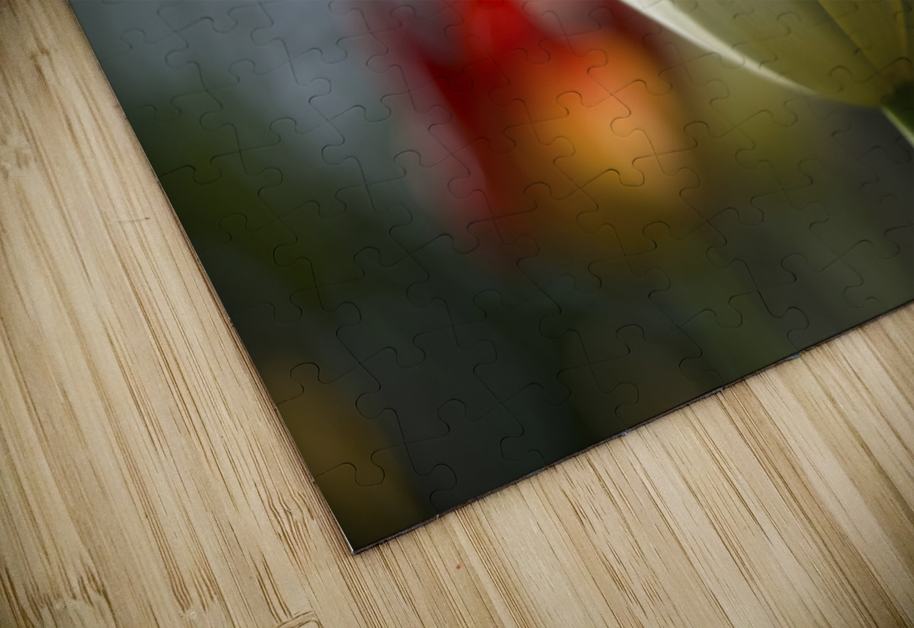 The Graceful Suzanne Bonin Puzzle