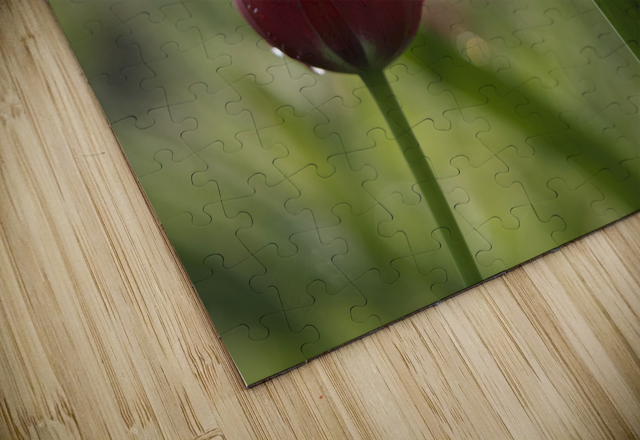 Red Beauty Suzanne Bonin Puzzle