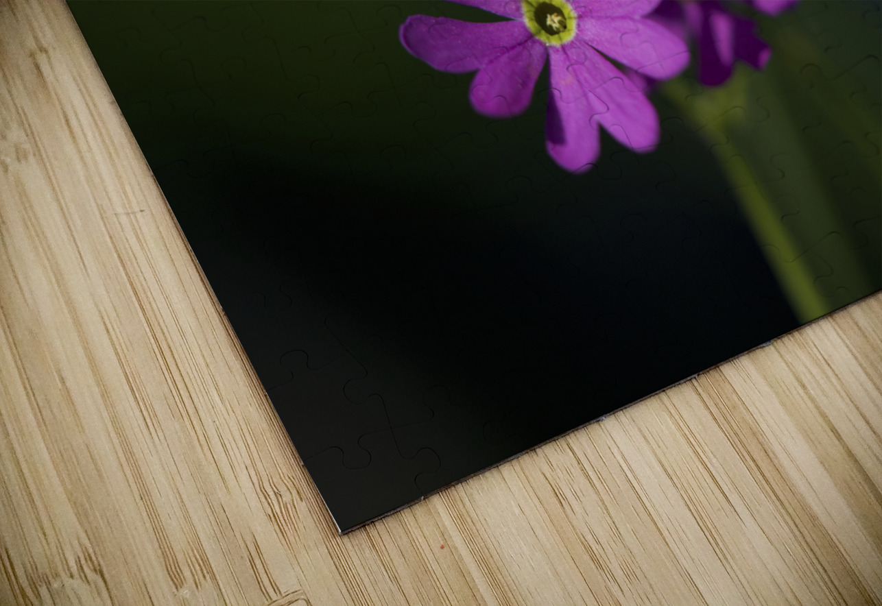 Dainty Blossoms Suzanne Bonin Puzzle