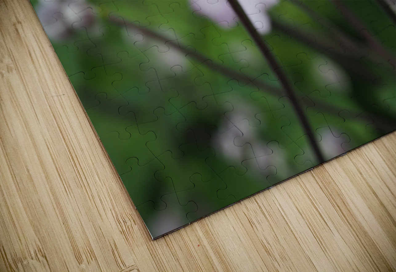 Japanese Thimbleweed Suzanne Bonin Puzzle