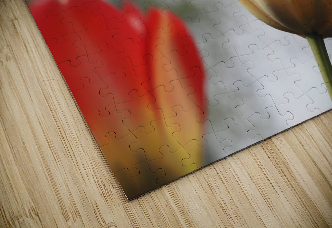 Leaning Tulip Suzanne Bonin Puzzle