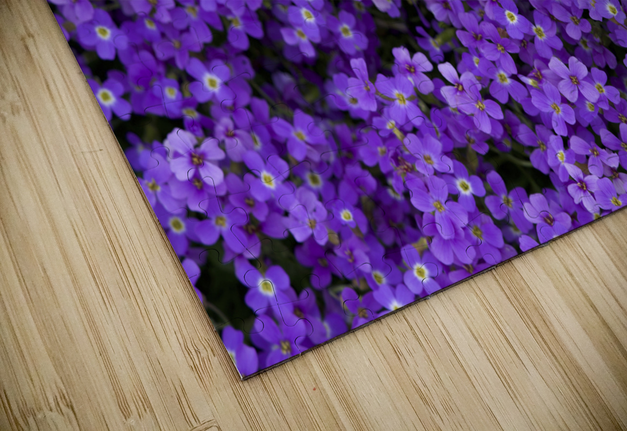Purple Groundcover Suzanne Bonin Puzzle