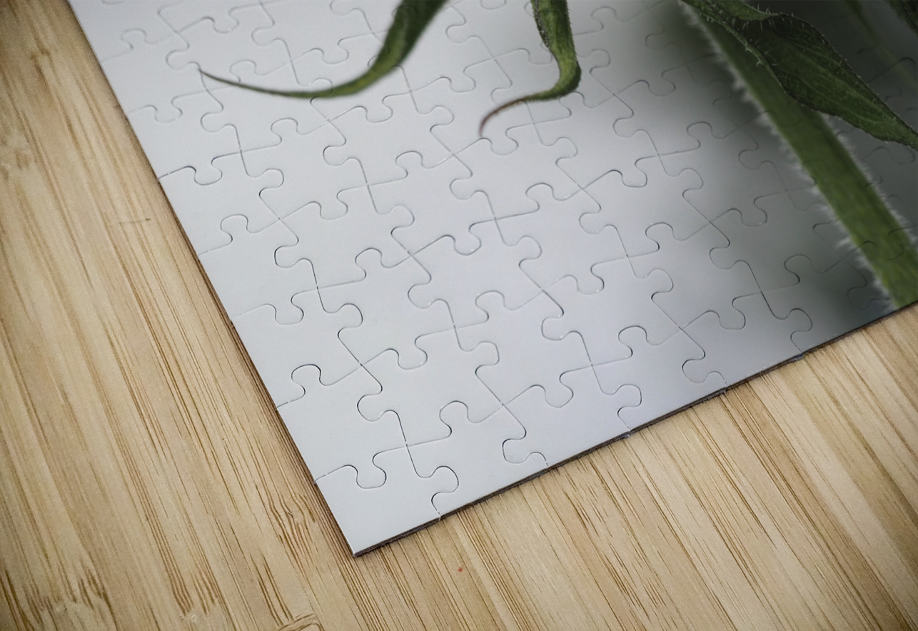 Sunflower Side View Suzanne Bonin Puzzle