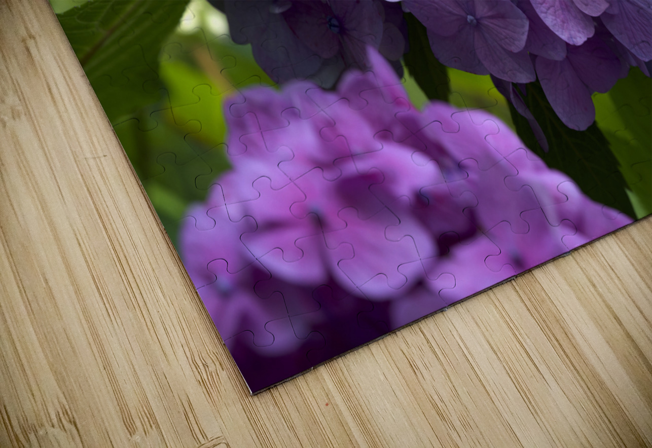 Purple Hydrangea Suzanne Bonin Puzzle