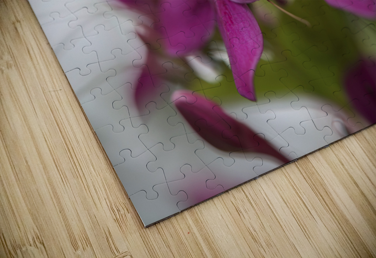 Shooting Star Suzanne Bonin Puzzle