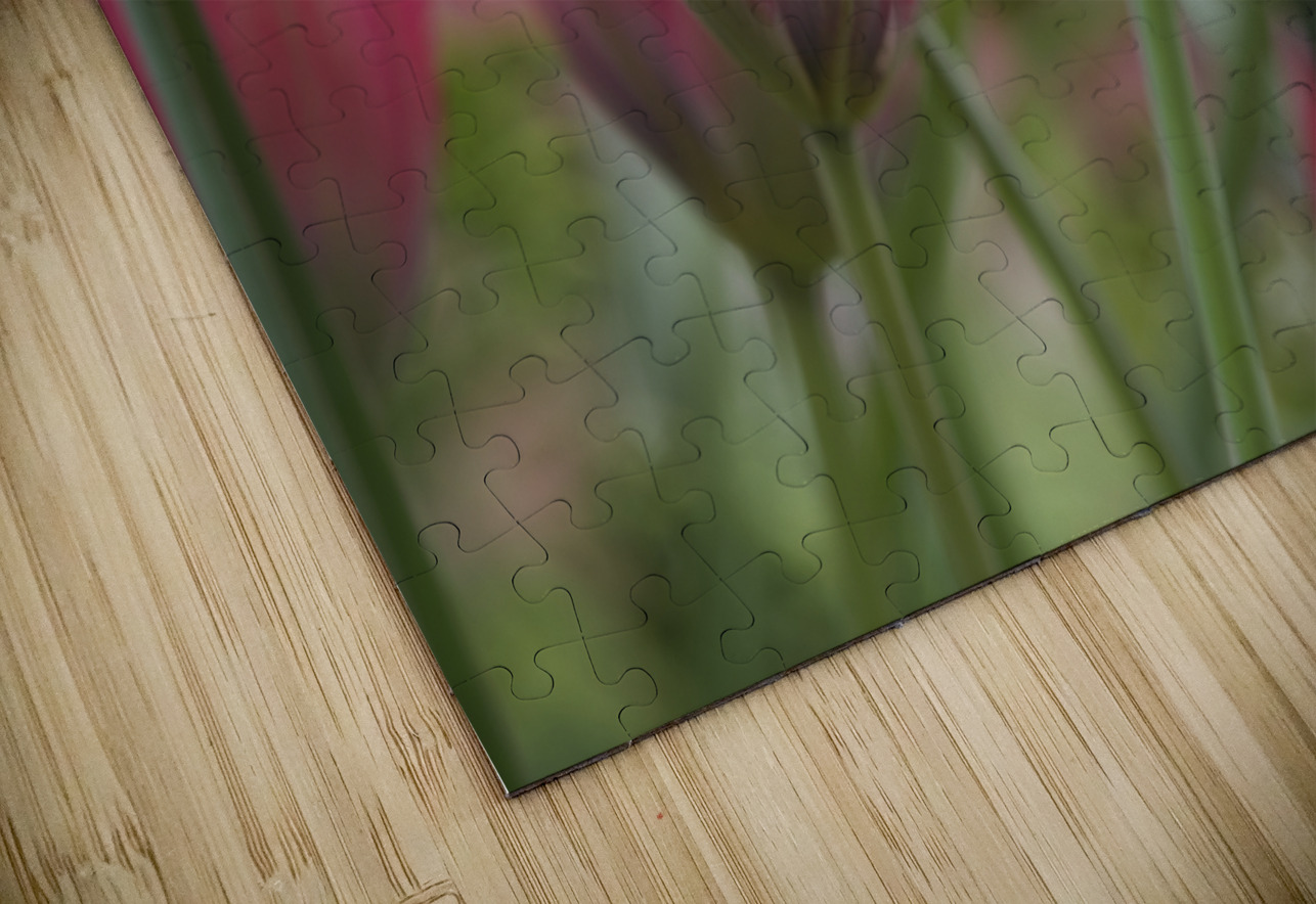 Charming Ladies Suzanne Bonin Puzzle