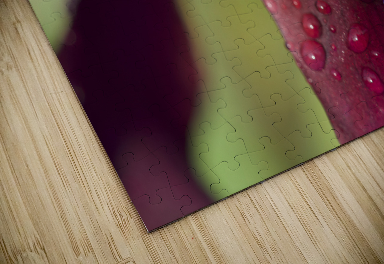 Purple Beard Suzanne Bonin Puzzle