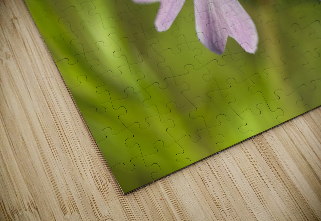 Vibrant Moss Phlox Suzanne Bonin Puzzle