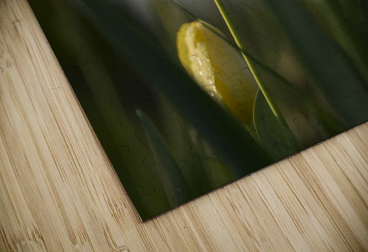 Dreamy Beauty Suzanne Bonin Puzzle