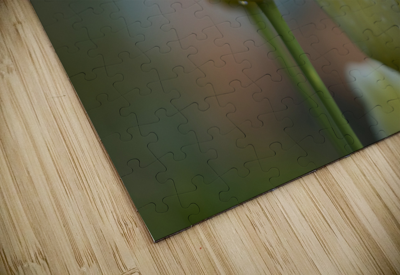 Dreamy Beauties Suzanne Bonin Puzzle