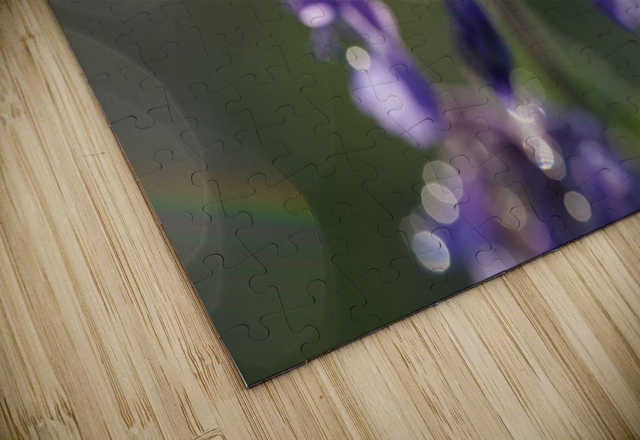 Drops and Bokeh Suzanne Bonin Puzzle