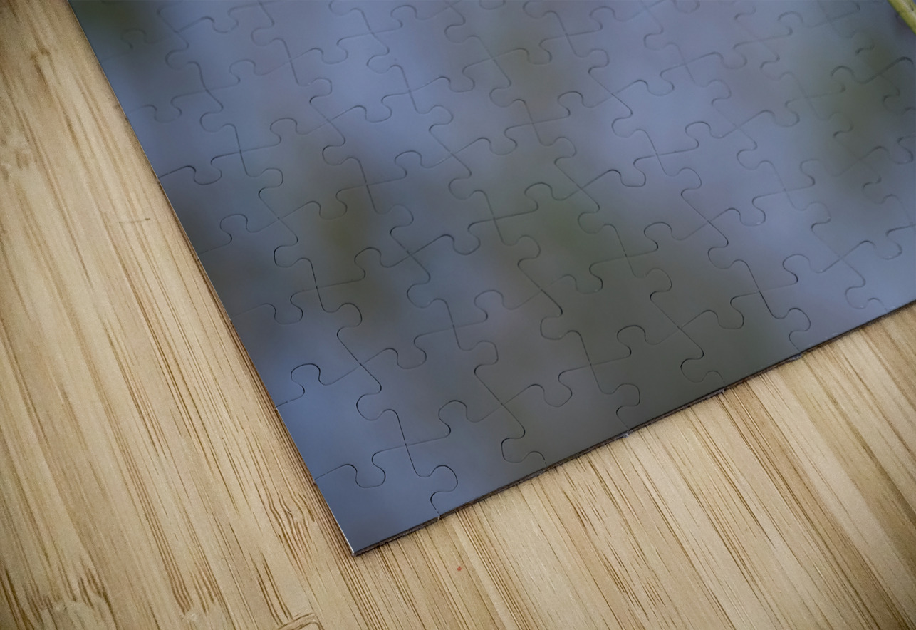 Lady in Purple Suzanne Bonin Puzzle