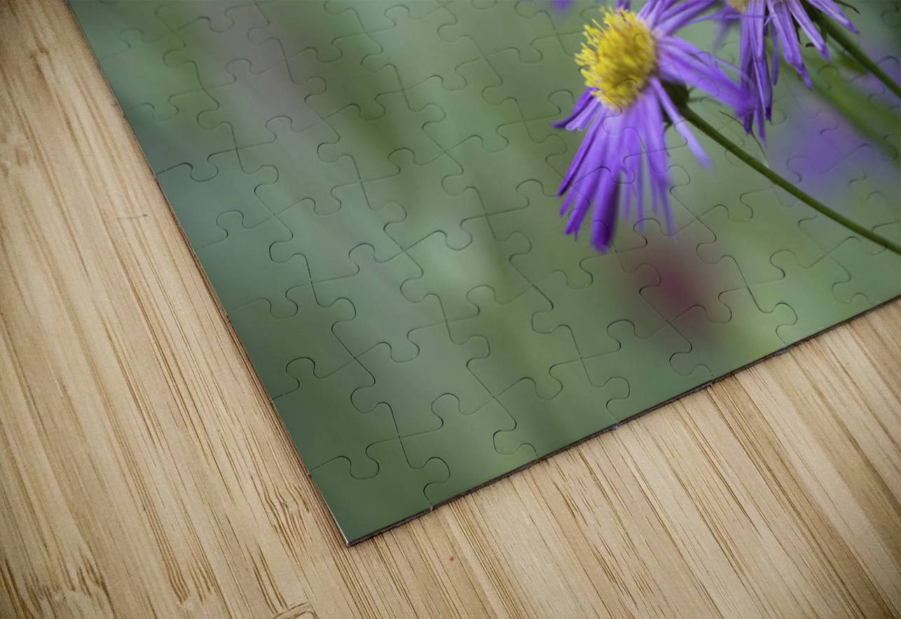 Lovely Ladies Suzanne Bonin Puzzle