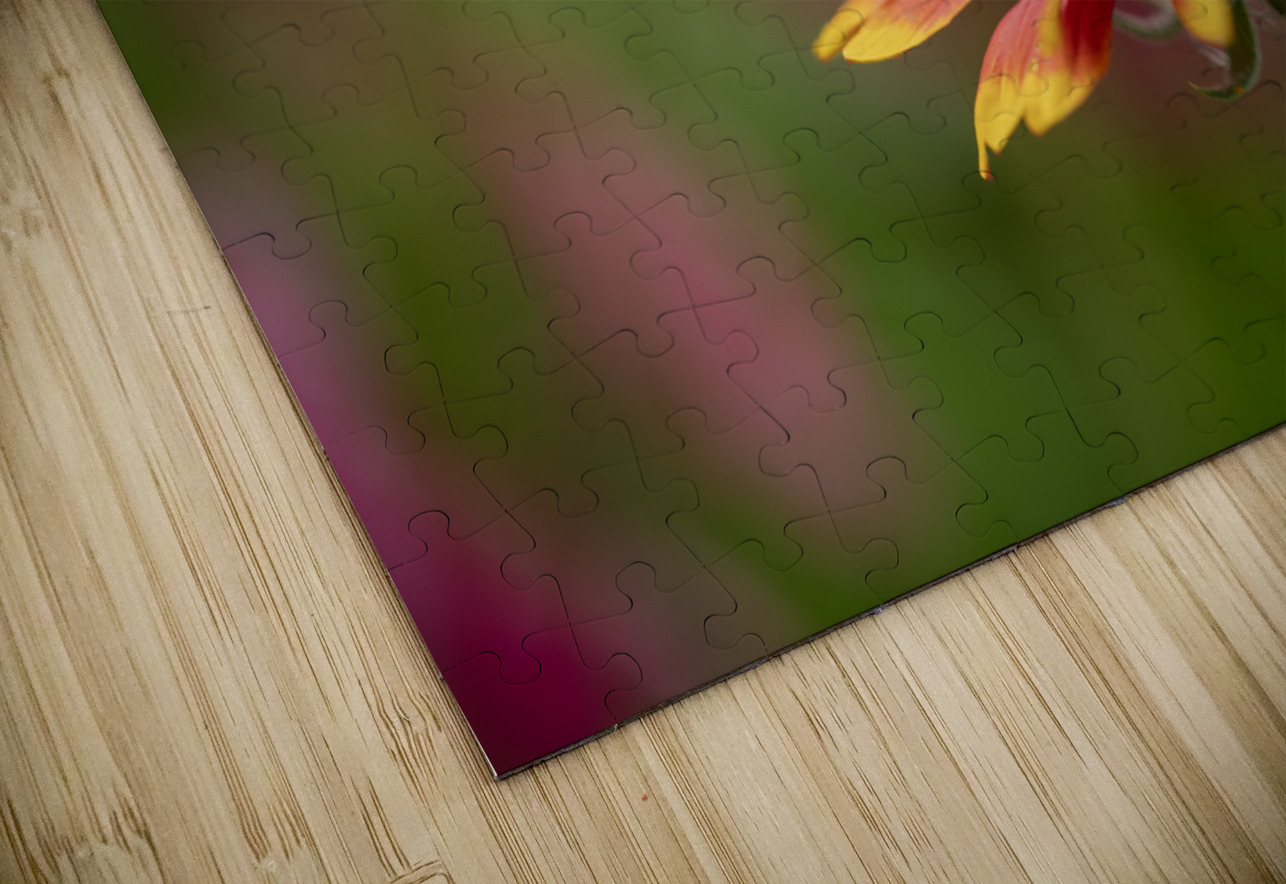 Blanket Flower Suzanne Bonin Puzzle