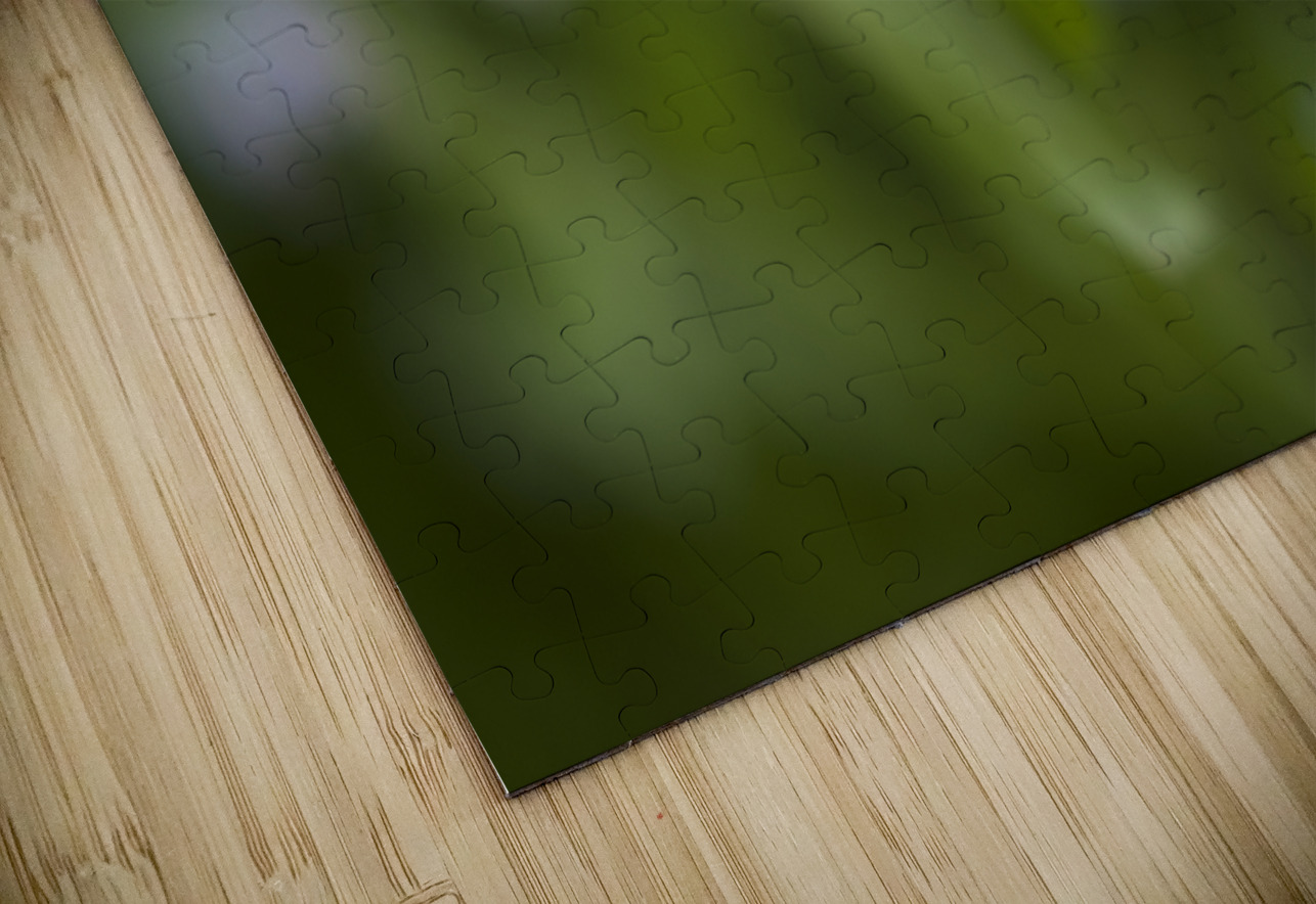 Tiniest Bouquets Suzanne Bonin Puzzle