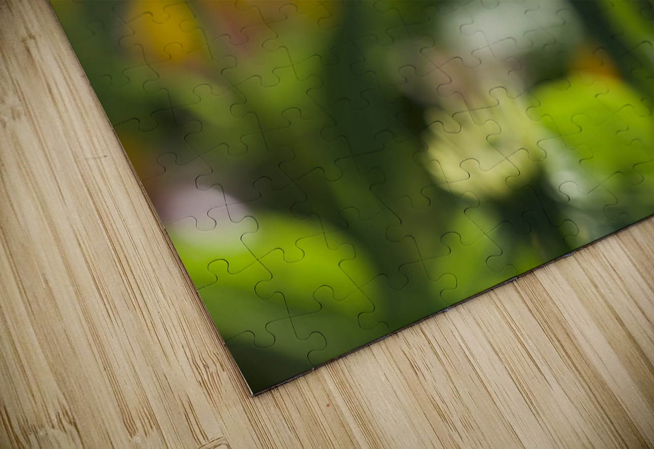 Early Morning Beauty Suzanne Bonin Puzzle