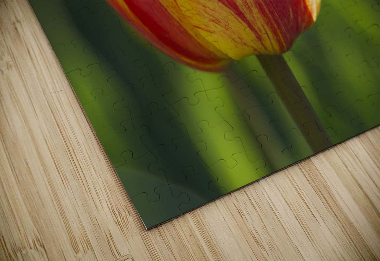 The Lovely One Suzanne Bonin Puzzle