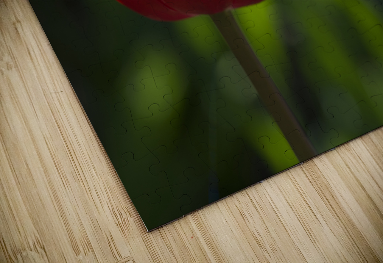 Pretty One Suzanne Bonin Puzzle