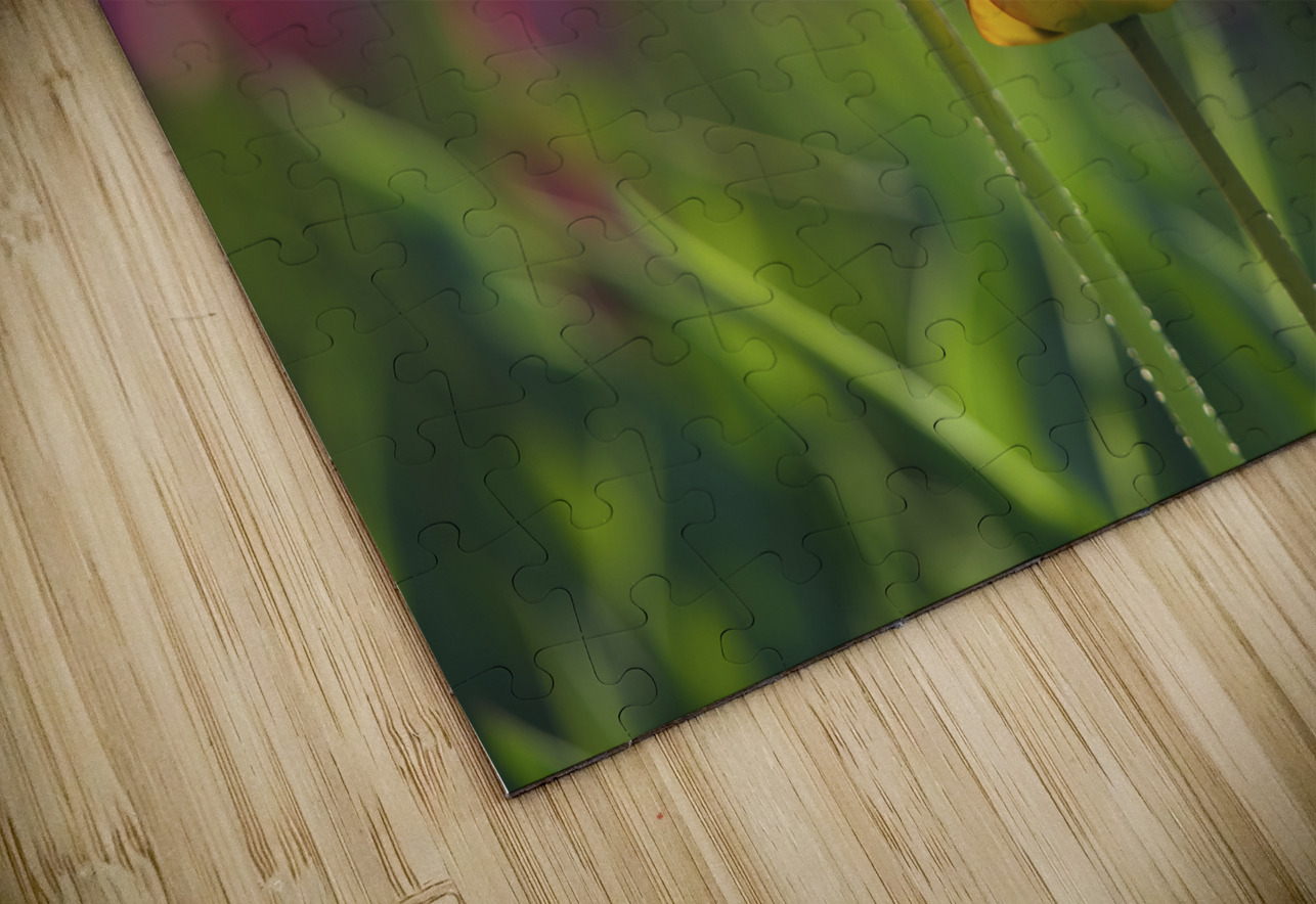 Two of a Kind Suzanne Bonin Puzzle