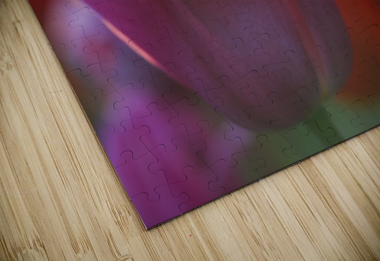 Timid Suzanne Bonin Puzzle