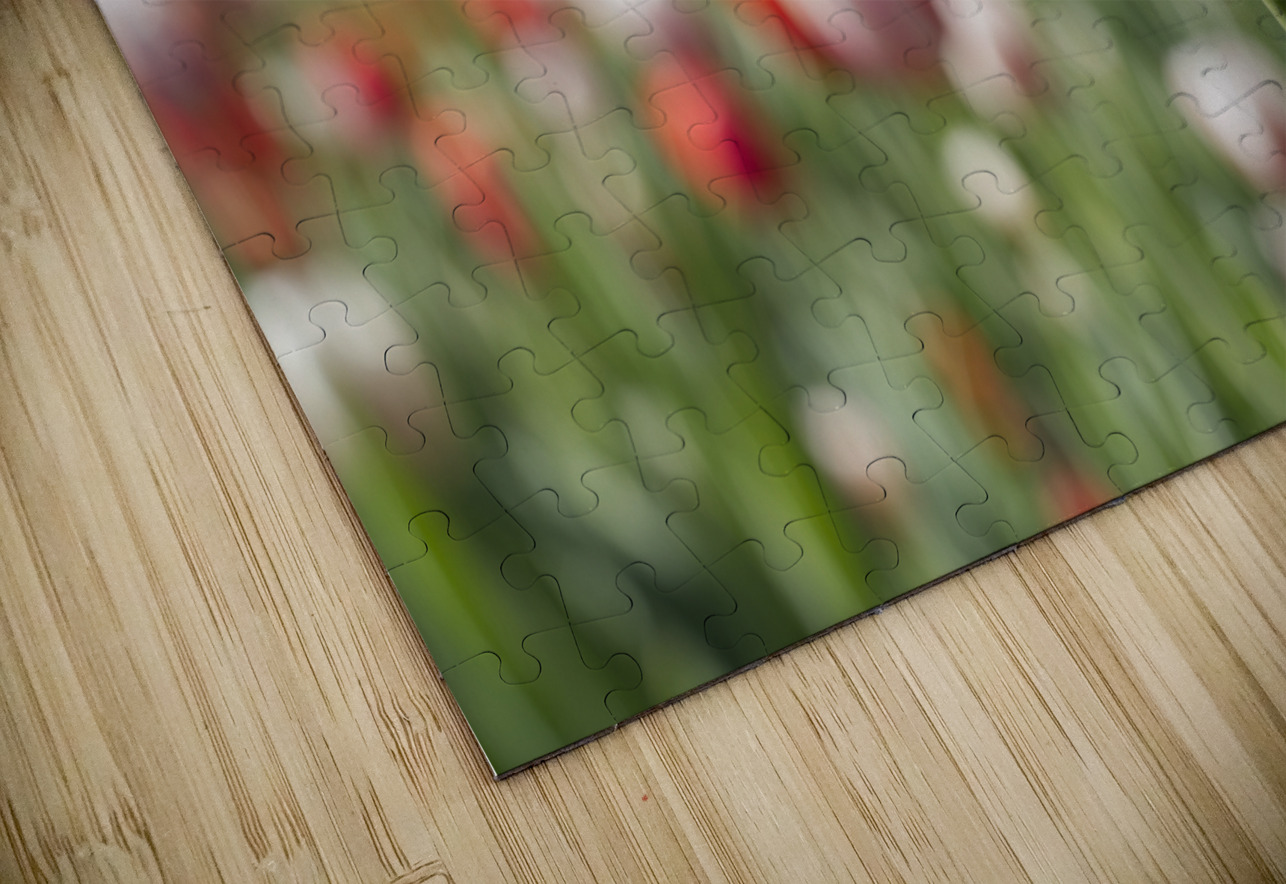 The Queen Suzanne Bonin Puzzle