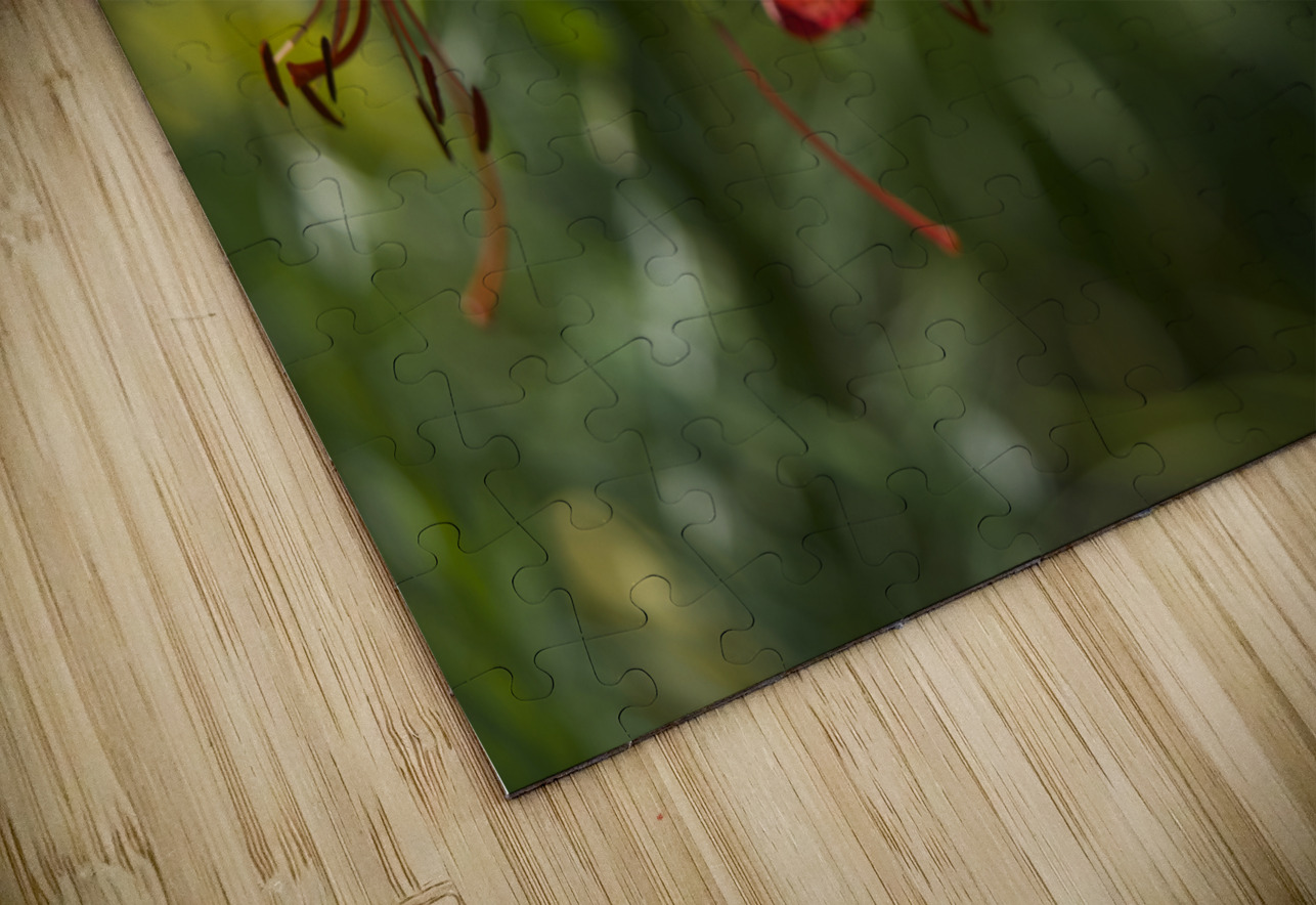 Tiger Lilies Suzanne Bonin Puzzle