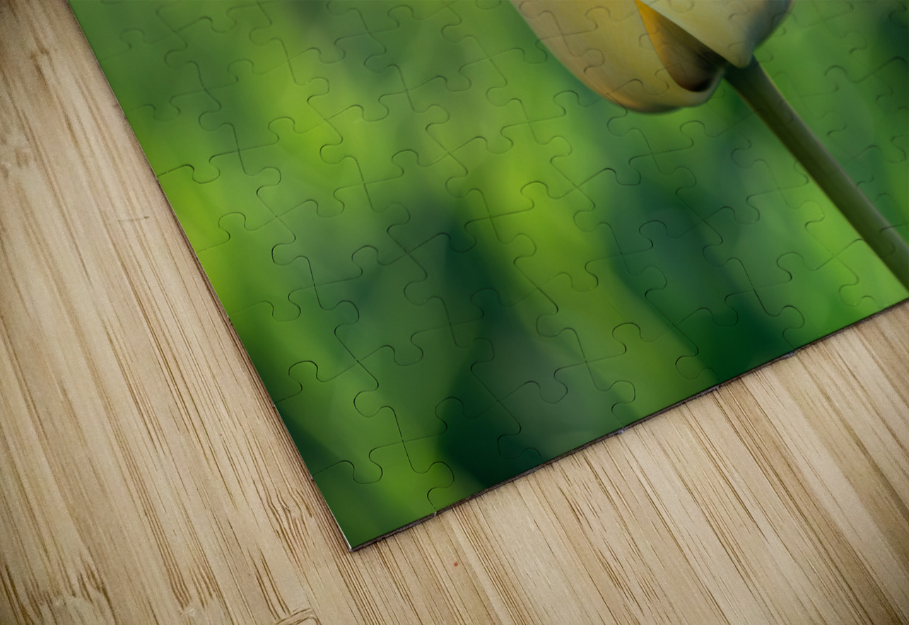 Precious Suzanne Bonin Puzzle