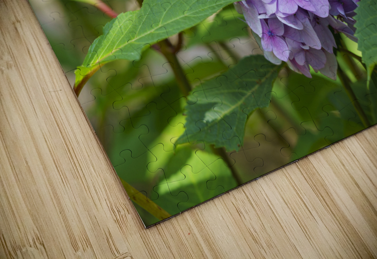 Pretty in Purple Suzanne Bonin Puzzle