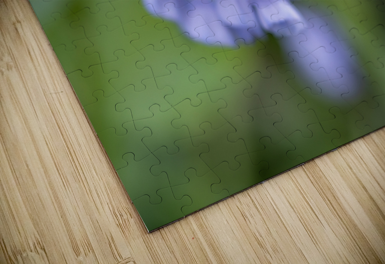 Petites Clochettes Suzanne Bonin Puzzle