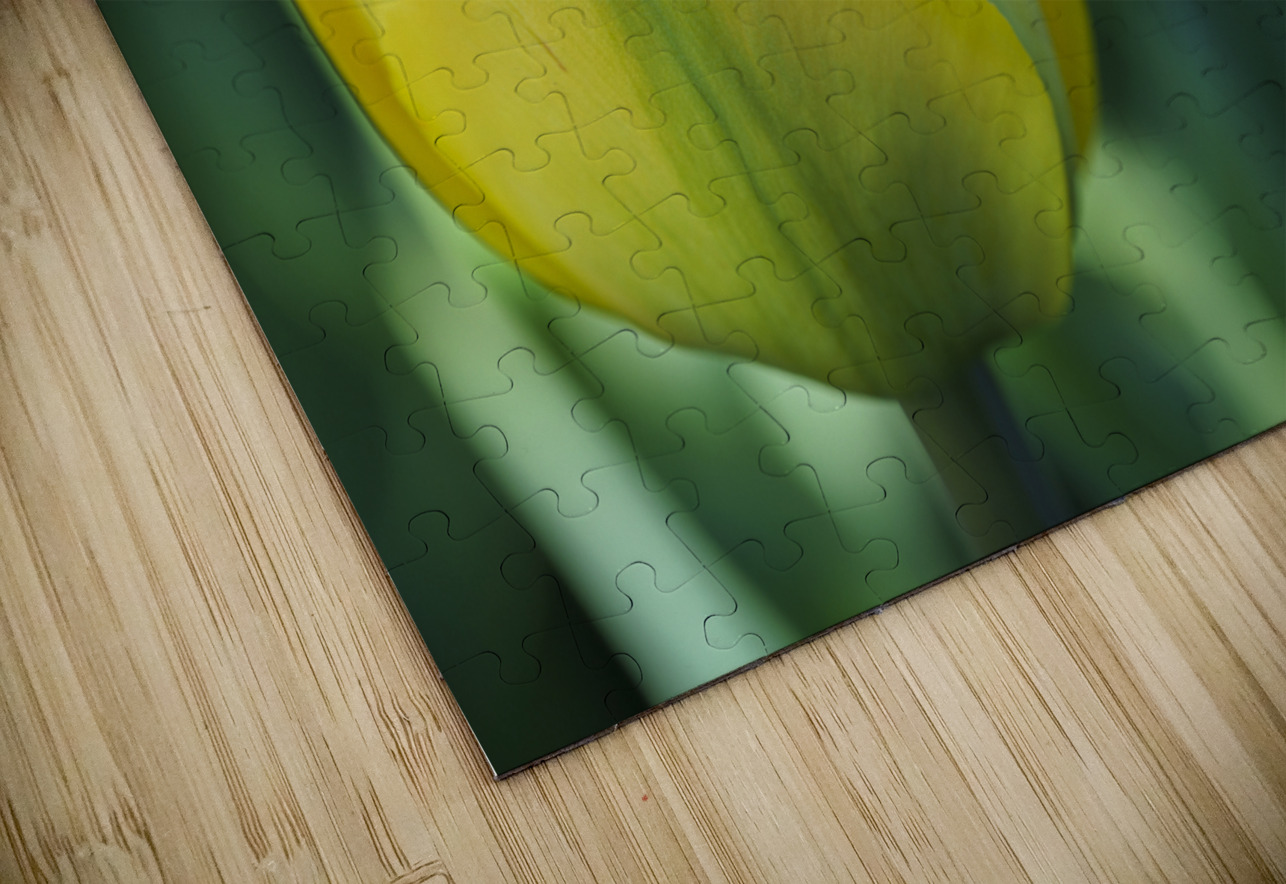 Pretty in Yellow Suzanne Bonin Puzzle