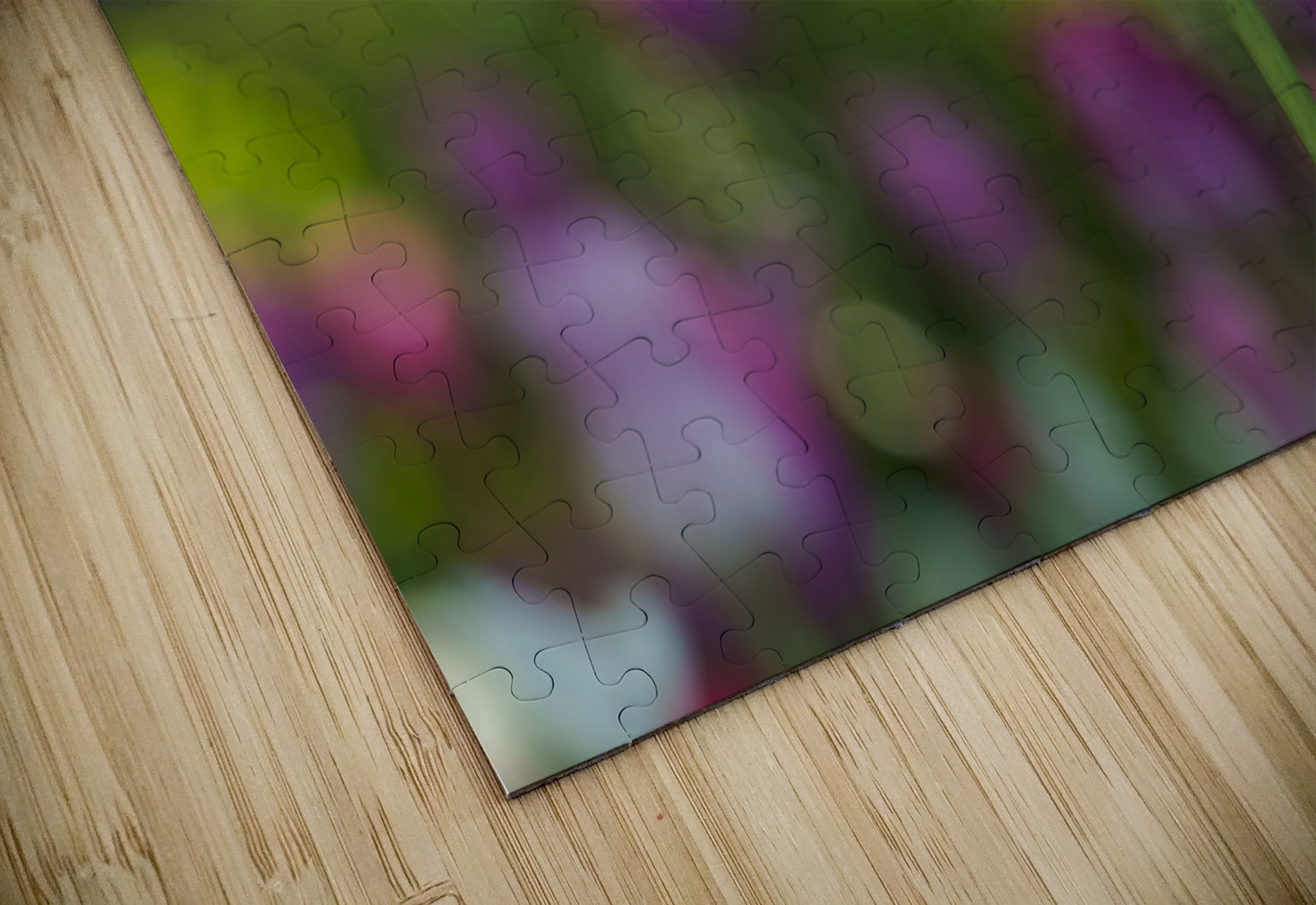 Looking Good Suzanne Bonin Puzzle