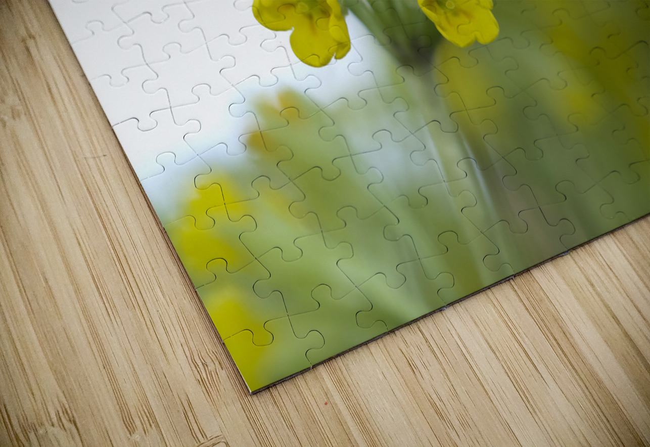 Mes Jolies Suzanne Bonin Puzzle