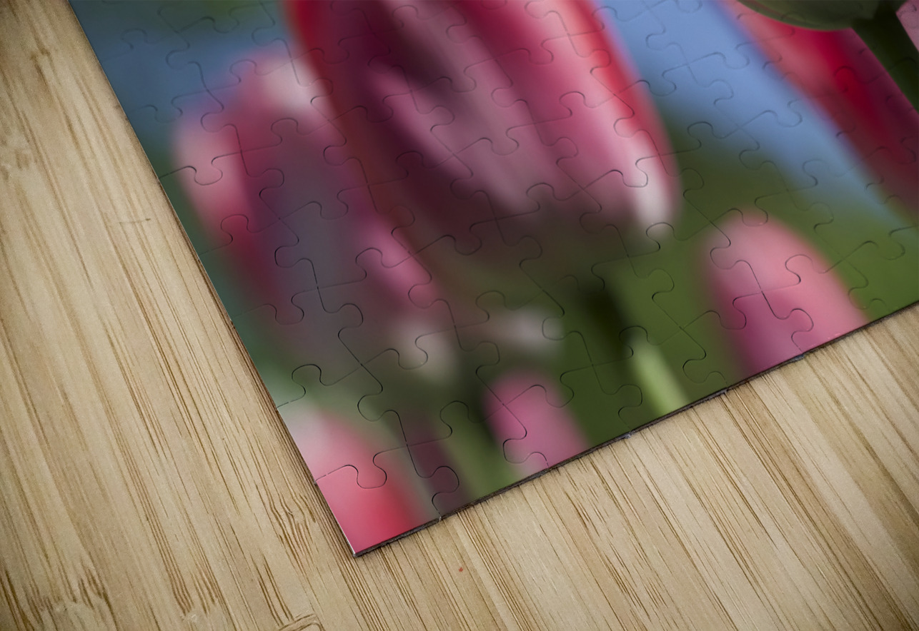 Oh Mother Suzanne Bonin Puzzle