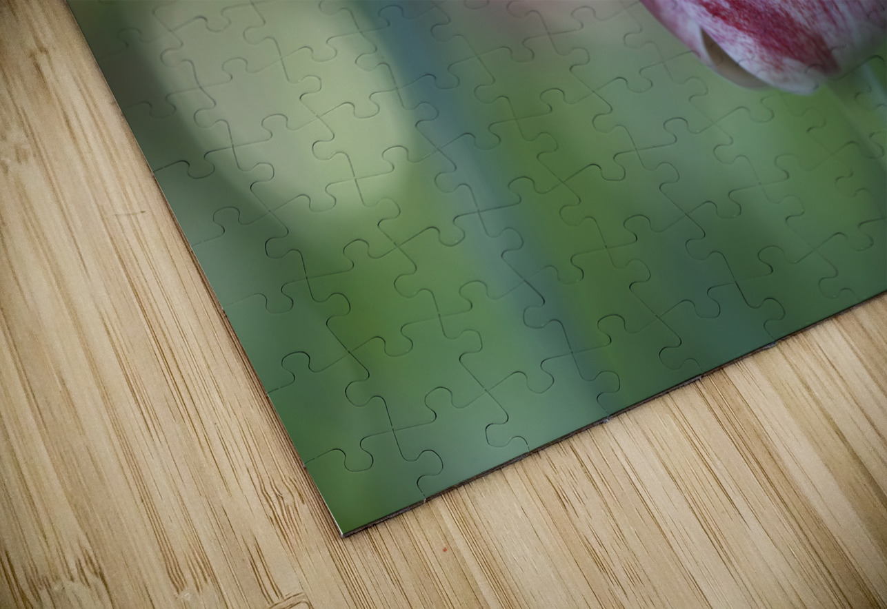 My Darling Suzanne Bonin Puzzle