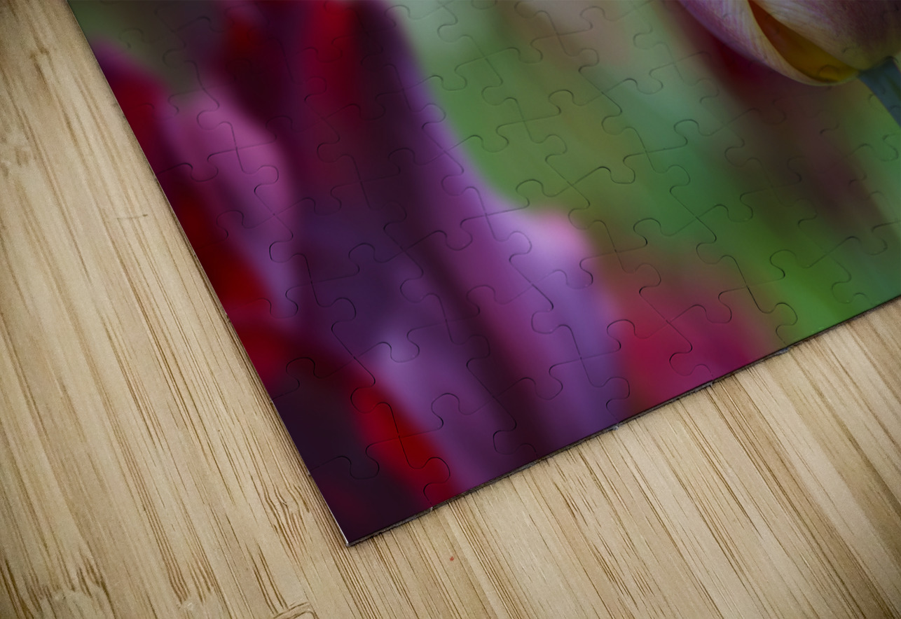 Glowing Lady Suzanne Bonin Puzzle