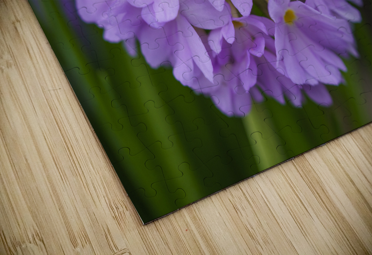 Drumstick Suzanne Bonin Puzzle