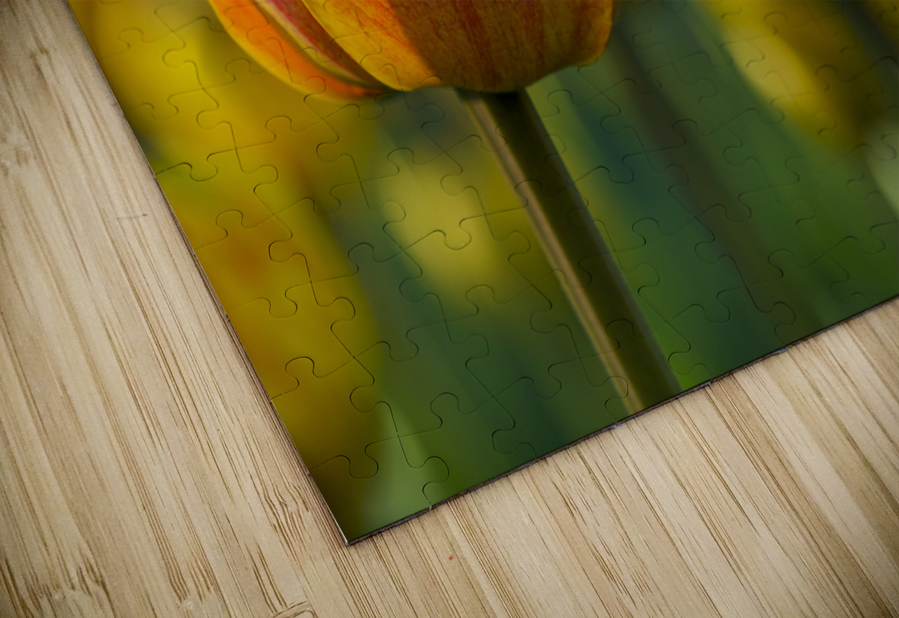 Falling for You Suzanne Bonin Puzzle