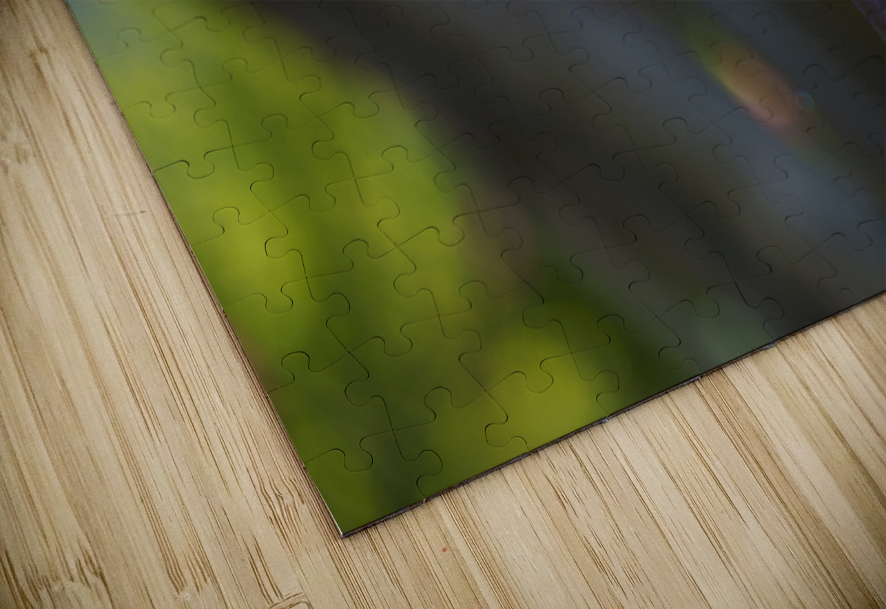 Good Energy Suzanne Bonin Puzzle