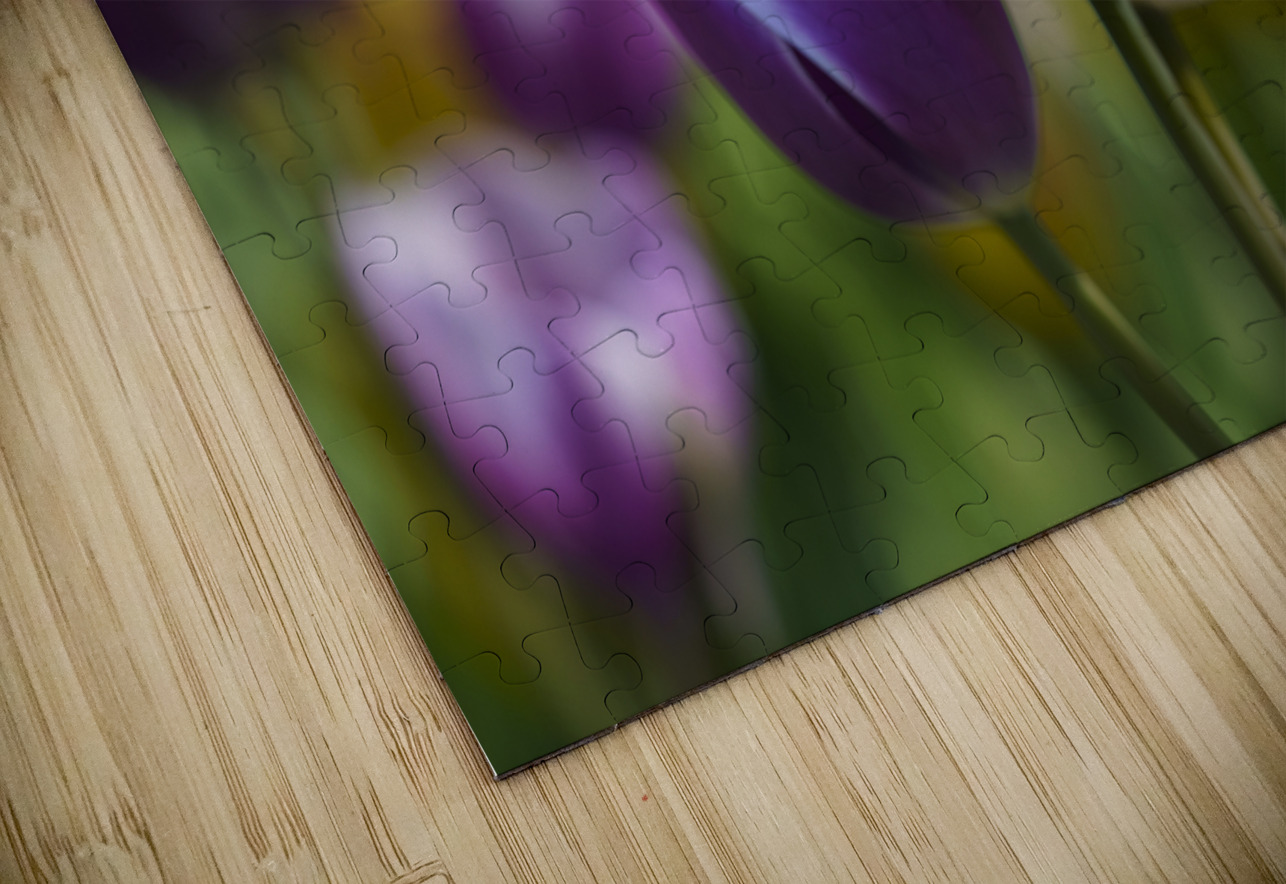 A Touch of Purple Suzanne Bonin Puzzle