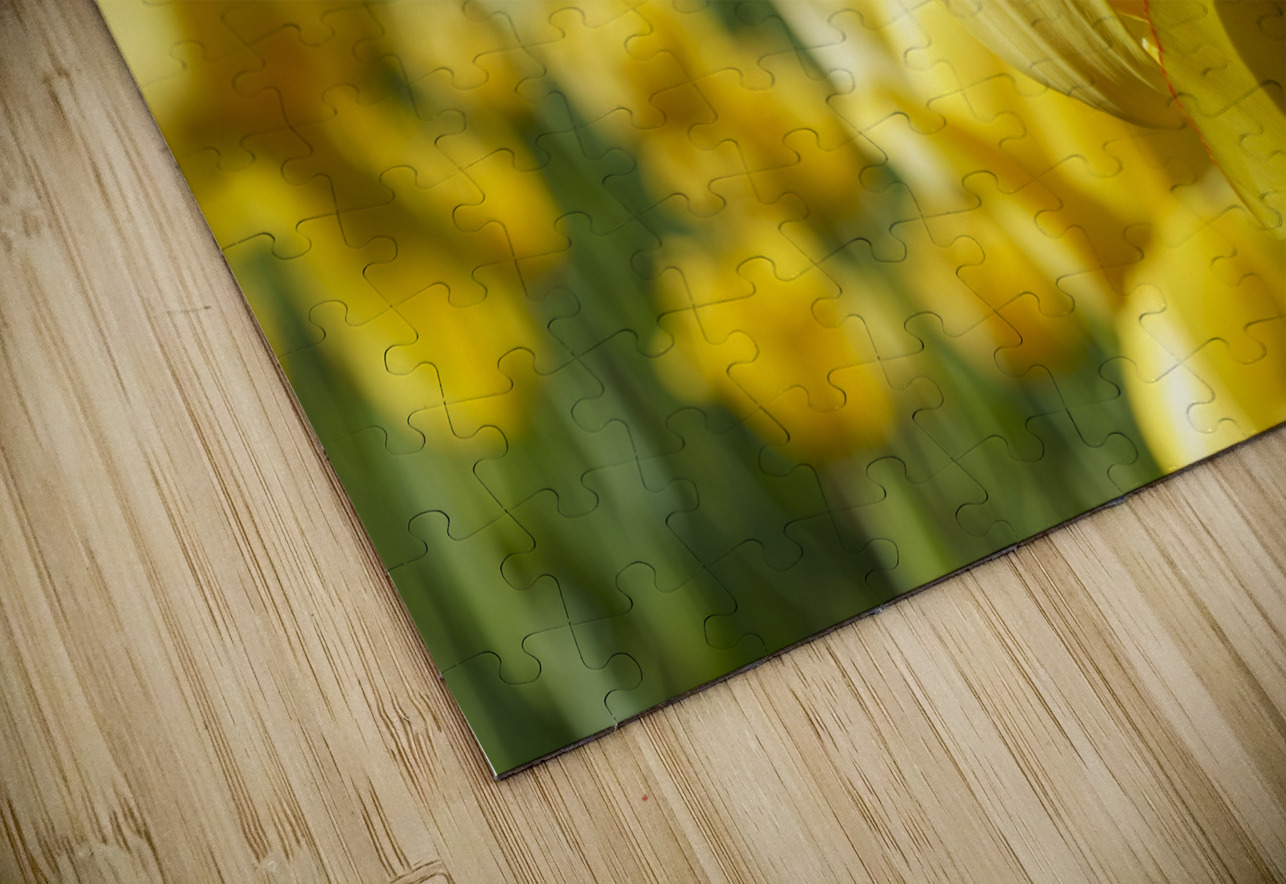 Amongst Others Suzanne Bonin Puzzle