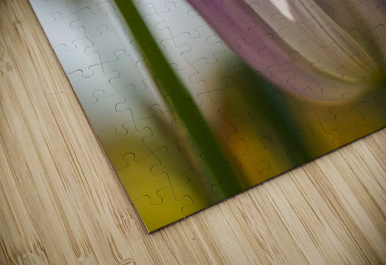 The Glowy One Suzanne Bonin Puzzle