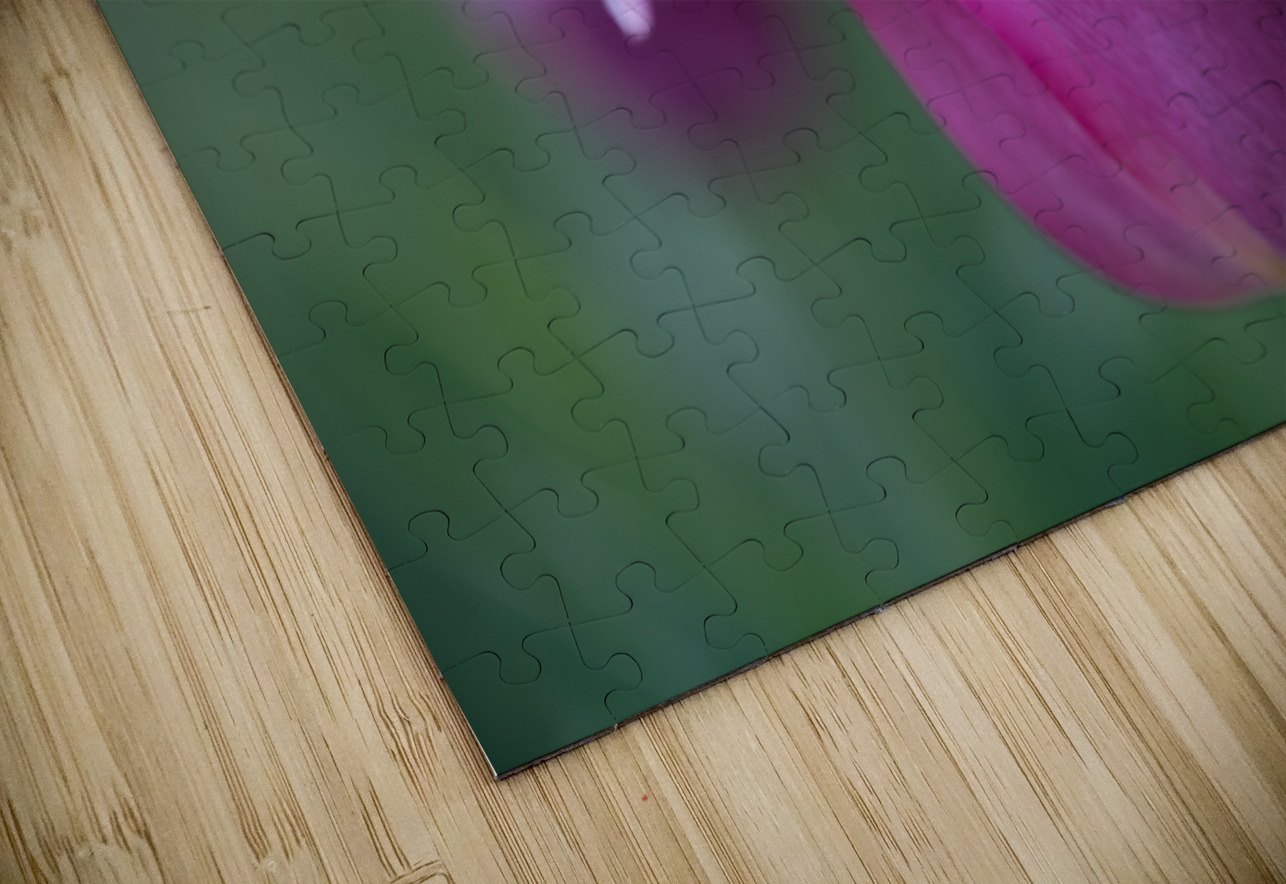 Pretty as a Tulip Suzanne Bonin Puzzle