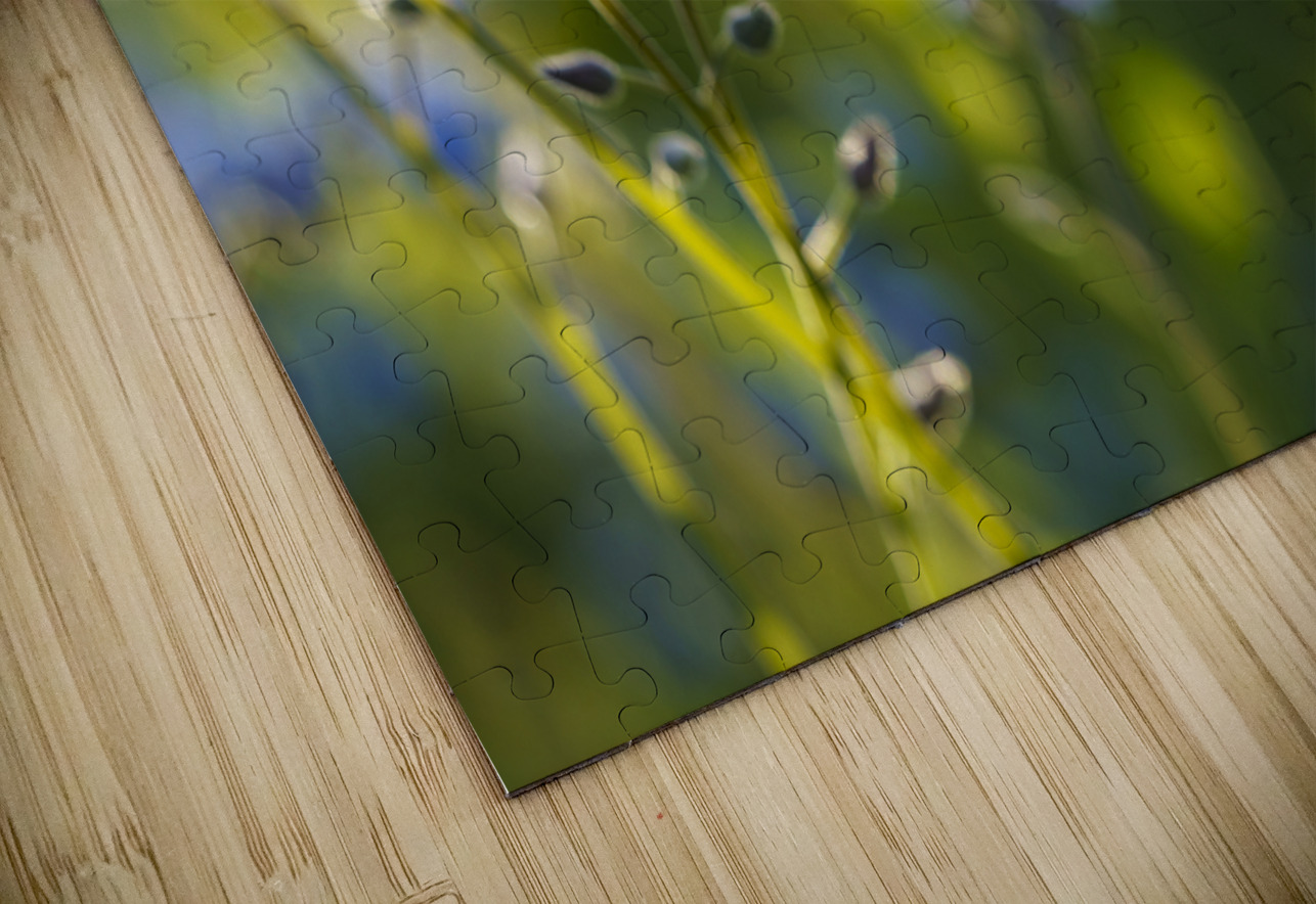 Happy Day Suzanne Bonin Puzzle