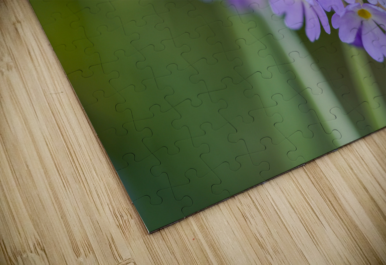 Drumsticks Suzanne Bonin Puzzle