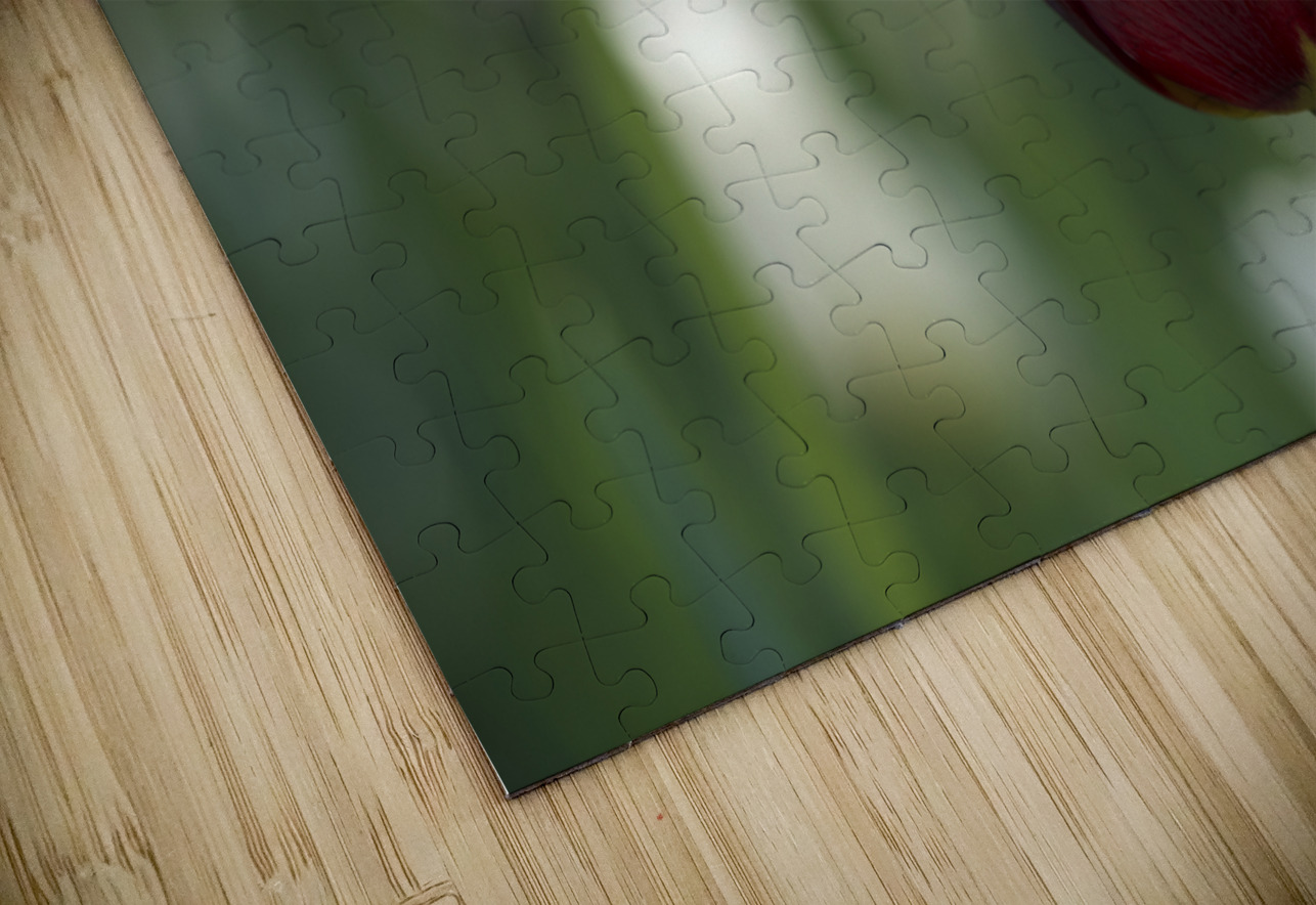 Exquisite Beauty Suzanne Bonin Puzzle