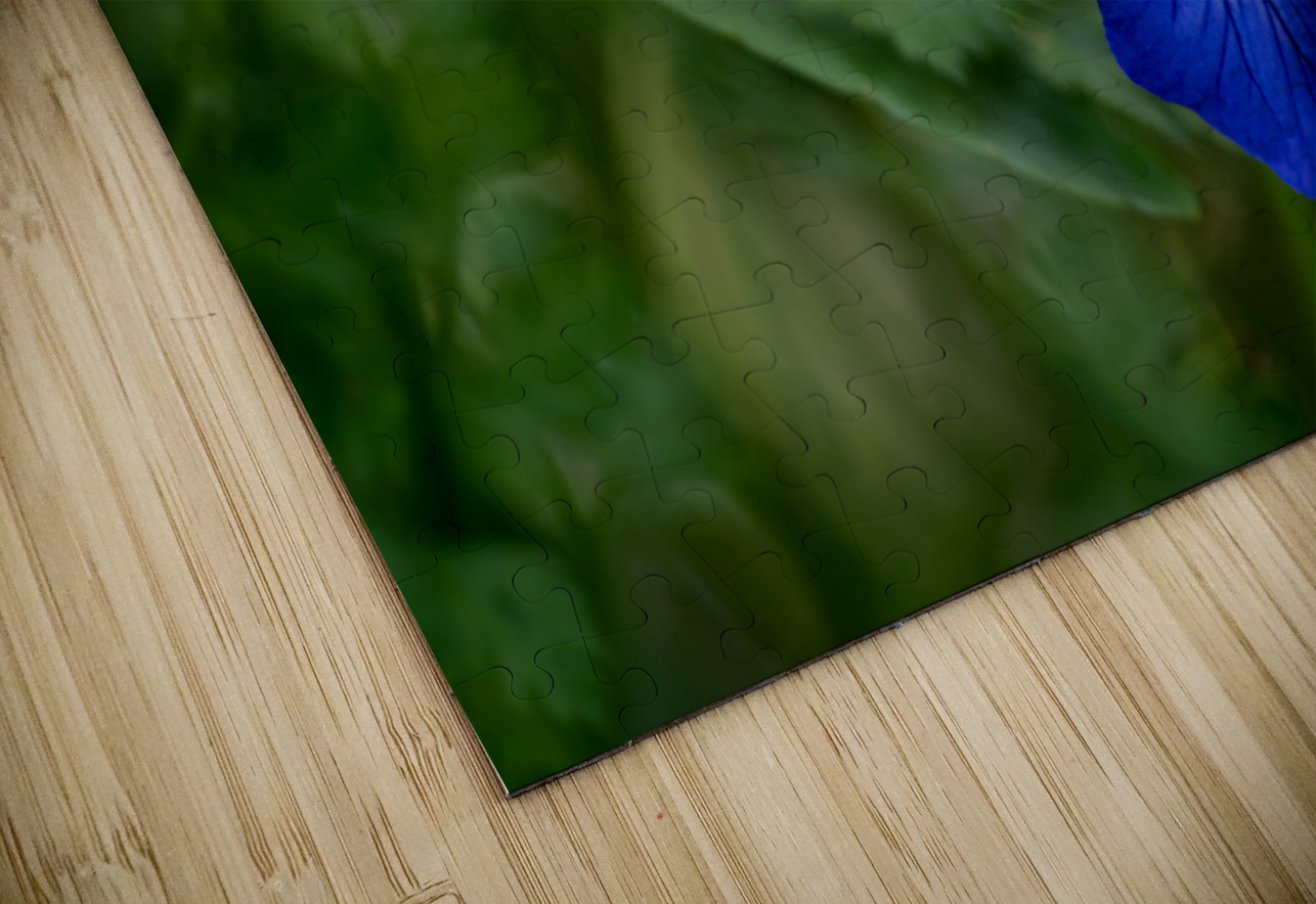 Velvety Blue Suzanne Bonin Puzzle